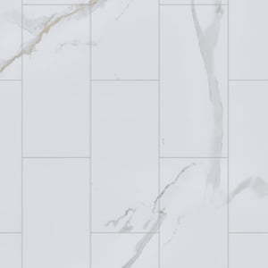 Carrara Cloud&trade;